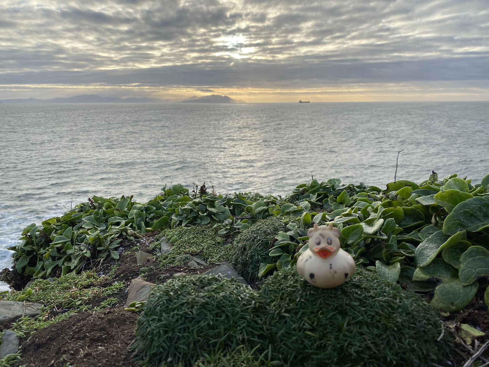 A photo of Bella on the cliff at Loop Head, Co Clare, Ireland.