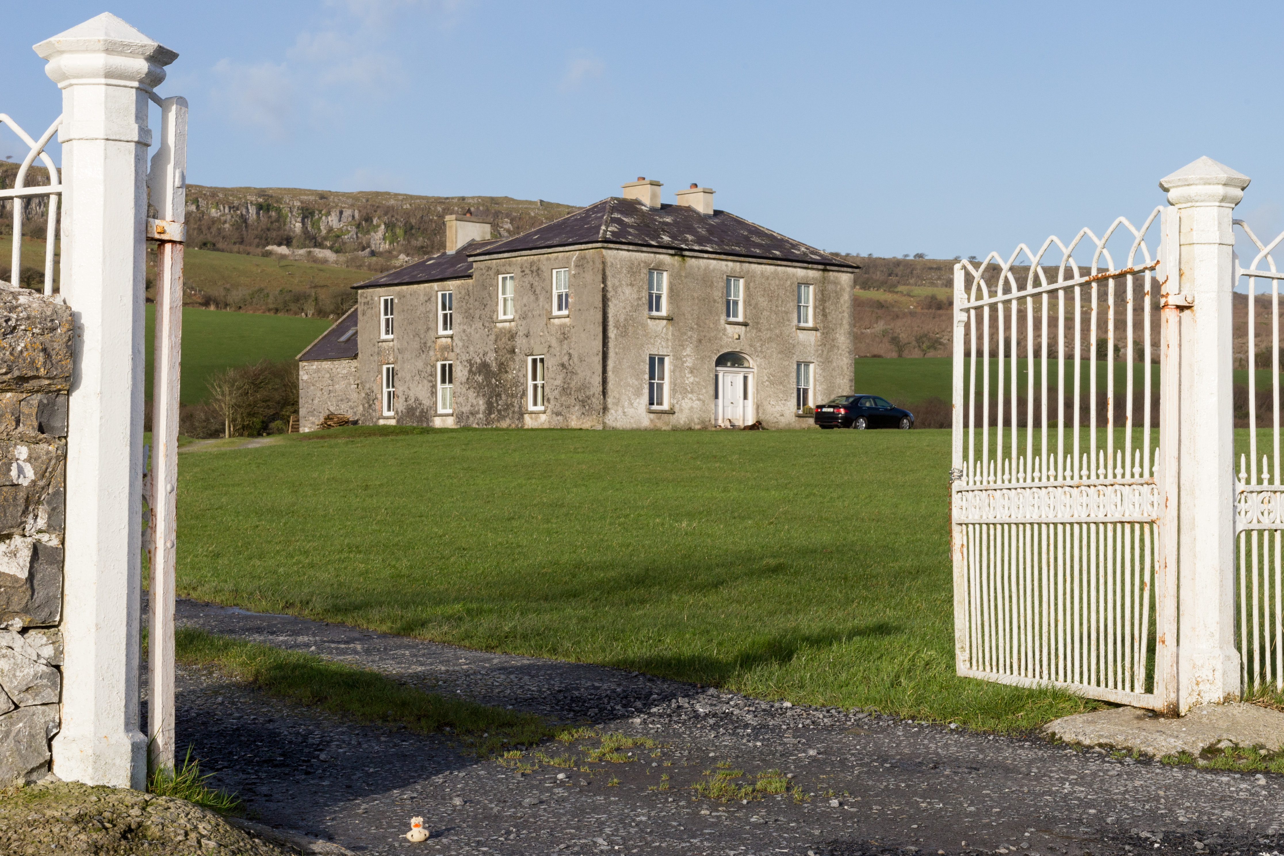 A photo of Bella the duck outside Father Ted's house, Craggy Island, Ireland