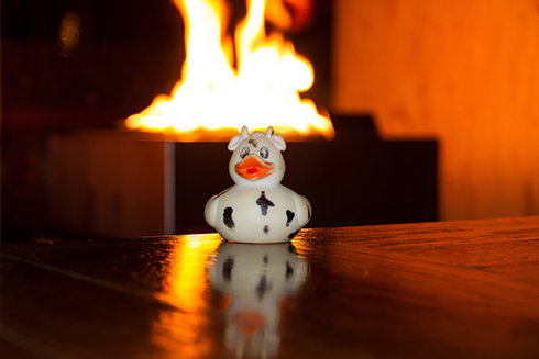 A photo of Bella the duck partying at The Brehon. Killarney, Ireland