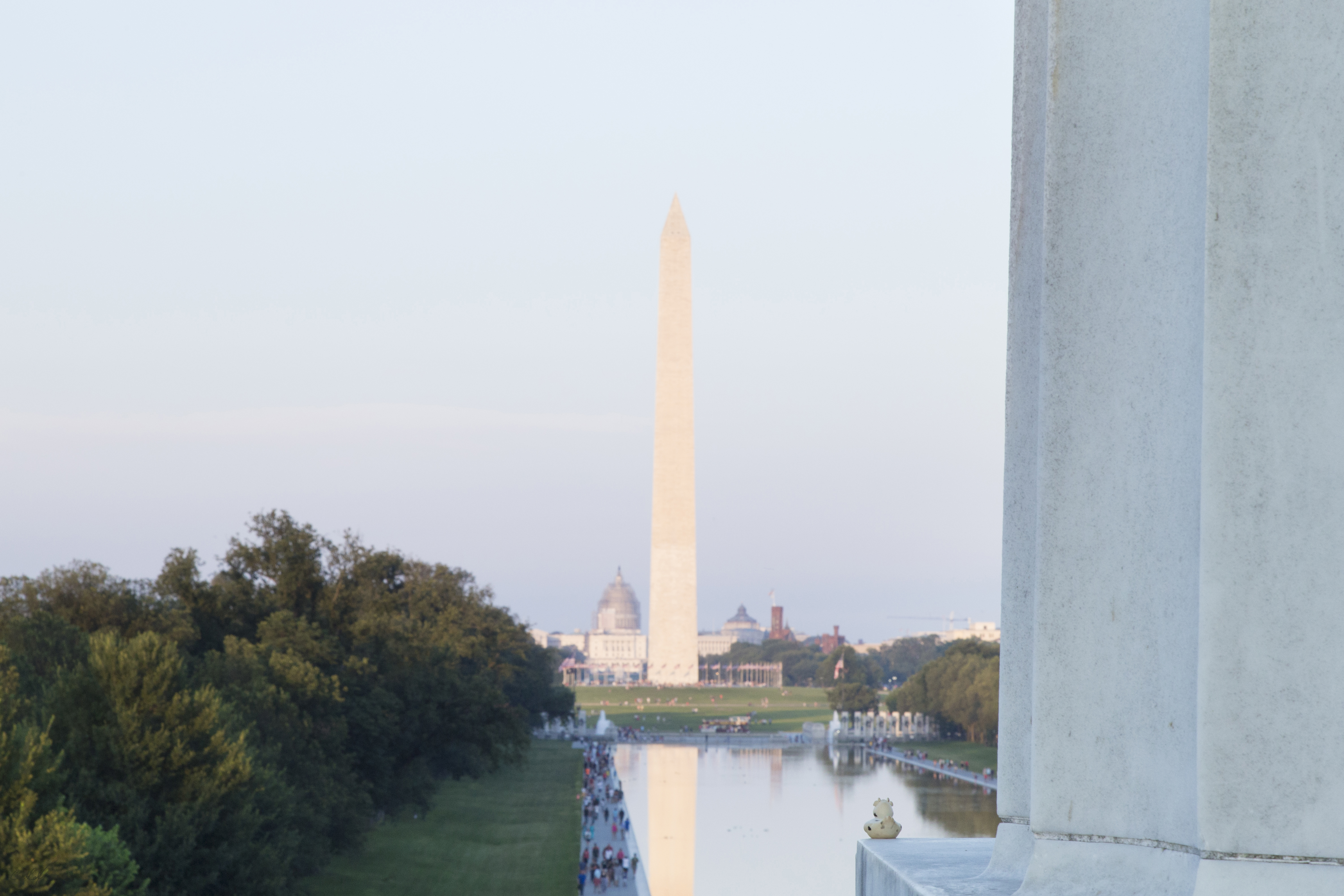 Bella the duck watching the sun set at the Lincoln Memorial in Washington DC